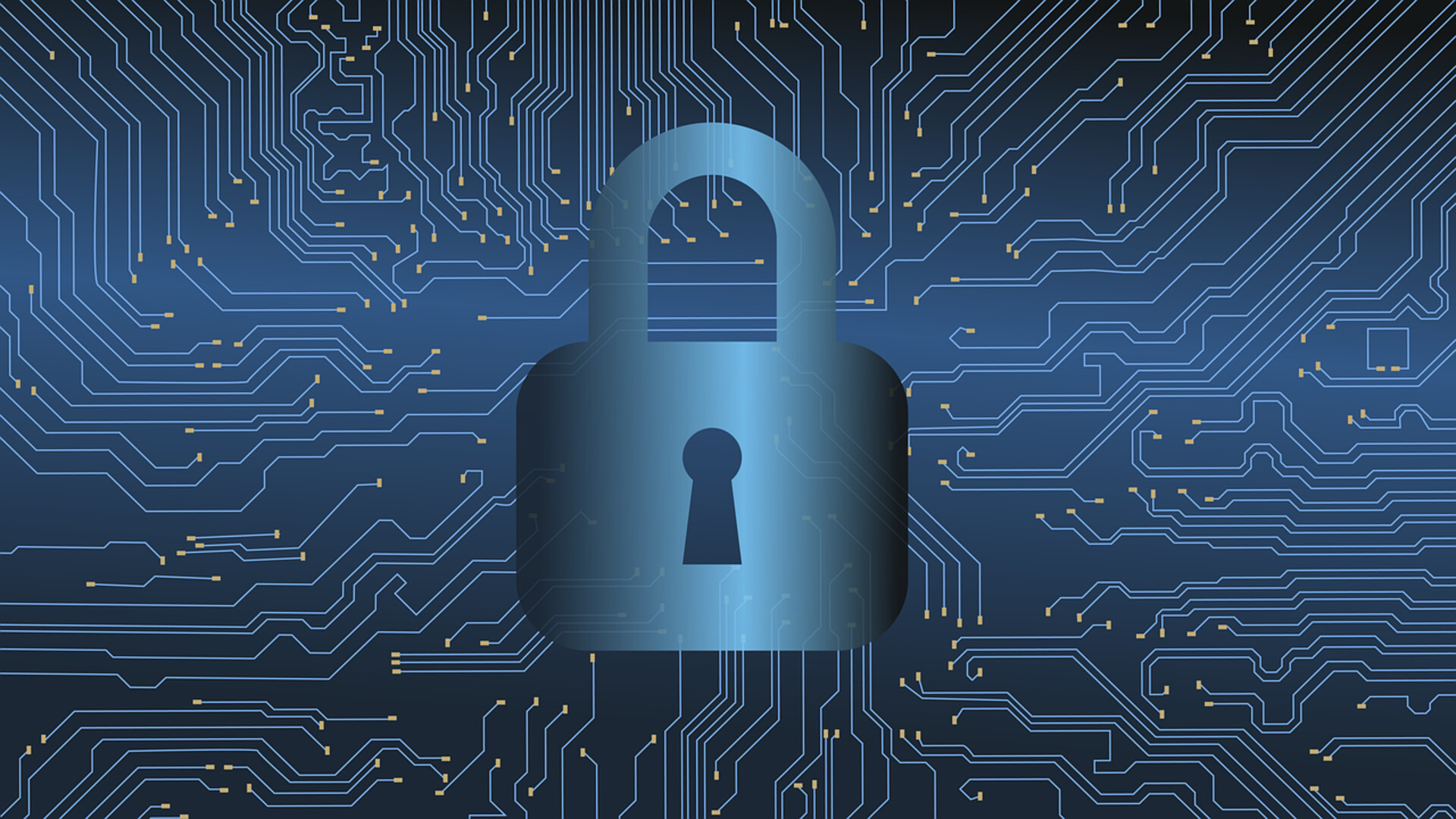 Your Data Was Breached — Now What? A Step-by-Step Recovery Guide